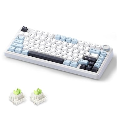 MOLGRIA x Aula F75 Gaming Keyboard Triple Mode Connected 75 Light Blue Mechanical Keyboard with SouthFacing RGB Backlit and KnobBlackLEOBOG Reaper Switch