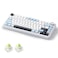 MOLGRIA x Aula F75 Gaming Keyboard Triple Mode Connected 75 Light Blue Mechanical Keyboard with SouthFacing RGB Backlit and KnobBlackLEOBOG Reaper Switch