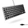 Macally Small USB Wired Keyboard for Mac and Windows 78 Scissor Keys 13 Shortcut Compatible Apple Keyboard Mini Compact USB Computer Keyboard That Saves Space and Looks Great Space Grey