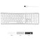 Macally Ultra Slim USB Wired Computer Keyboard Compatible Apple Keyboard or Windows Full Size with 20 Mac Keyboard Keys with Numeric Keypad Silver Aluminum Finish