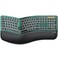 ProtoArc Backlit Bluetooth Ergonomic Keyboard EK01 Plus Full Size Wireless Split Keyboard with Dual Bluetooth and USB Cushioned Wrist Rest Rechargeable Compatible with WindowsMacAndroid Green