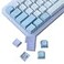 JOMKIZ Keycaps 173 Keys Cherry Profile Double Shot Keycaps Set with 625u and 7u Spacebar for Cherry Mx Switches ISO ANSI Layout Mechanical Keyboard
