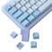 JOMKIZ Keycaps 173 Keys Cherry Profile Double Shot Keycaps Set with 625u and 7u Spacebar for Cherry Mx Switches ISO ANSI Layout Mechanical Keyboard