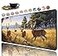 FDHHKJUKO Extended Mouse Pad Large Gaming Mouse Pad Computer Keyboard Mouse Mat NonSlip Rubber Base for Game Players Office Study Cup CoasterAnimal Deer