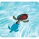 Allsop Natures Smart Mouse Pad 60 Recycled Content Turtle 31425