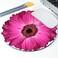 Amcove Mouse Pad Isolated Purple Gerbera Daisy Round Mousepad NonSlip Rubber Base Customized Gaming Mouse Mat for Laptop Computer PC