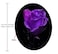 Amcove Round Mouse Pad with Amazing Purple Rose and Black Background Roses Mouse Pad Office Present Woman Present 79 x 79 x 012 Inch
