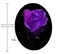 Amcove Round Mouse Pad with Amazing Purple Rose and Black Background Roses Mouse Pad Office Present Woman Present 79 x 79 x 012 Inch