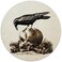 Sufamb Crow On A Skull Gothic Macabre Art Waterproof Small Round Mouse Pad 79 x 79 Inch NonSlip Rubber Base Decorative Gaming Mouse pad for Office Gothic Theme Room Desk Decor Gothic Lover Gift