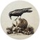 Sufamb Crow On A Skull Gothic Macabre Art Waterproof Small Round Mouse Pad 79 x 79 Inch NonSlip Rubber Base Decorative Gaming Mouse pad for Office Gothic Theme Room Desk Decor Gothic Lover Gift