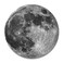 pingpi Earth Grey Moon Customized Round Mouse Pad 78X78 inch