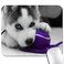 knseva Siberian Husky Pup Playing with Purple Blue Ball Mouse Pad Cute Large Mouse Pads Custom