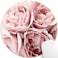 knseva Vintage Pink Roses Rugosa Flower Personality Design Round Mouse Pad Retro Floral Circular Mouse Pads Custom