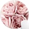 knseva Vintage Pink Roses Rugosa Flower Personality Design Round Mouse Pad Retro Floral Circular Mouse Pads Custom