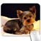 knseva Yorkie Sad Yorkshire Terrier Mouse Pad Cute Pet Puppy Rectangle Mouse Pads Office Decor