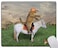 Solekla Mouse Pad Funny Cat and His Dog Mouse Pad Washable Square Cloth Mousepad for Office Laptop NonSlip Rubber Base Mouse Pads for Wireless Mouse Computer Mouse Pads for Desk