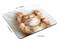 TSSOHU Mouse Pad Rectangle Cute Little Kitten Sleeps AntiSlip Rubber Mousepad for Gaming Office Laptop Computer PC Men Women Kids Cute Custom Pattern 95x79x012 Inch