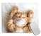 TSSOHU Mouse Pad Rectangle Cute Little Kitten Sleeps AntiSlip Rubber Mousepad for Gaming Office Laptop Computer PC Men Women Kids Cute Custom Pattern 95x79x012 Inch