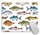 TSSOHU Mouse PadFishs Mouse Pad Mouse Mat Square Mouse Pad NonSlip Rubber Base MousePads for Office Laptop 95x79x012 Inch