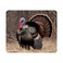 Nicokee Gaming Mouse Pad Strutting Wild Turkey NonSlip Rubber Mouse Pad for Computers Laptop Office Home Rectangle Personalized Mousepad 95 Inch x 79 Inch