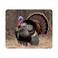 Nicokee Gaming Mouse Pad Strutting Wild Turkey NonSlip Rubber Mouse Pad for Computers Laptop Office Home Rectangle Personalized Mousepad 95 Inch x 79 Inch