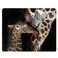 Nicokee Giraffe Gaming Mousepad Loving Mother and Baby Giraffe Mouse Pad for Computer Desk Laptop Office 95 X 79 Inch NonSlip Rubber Mat