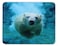 Qien BaiSei Polar Bears in The Water Mouse padNonSlip Rubber MousepadApplies to GamesHome SchoolOffice Mouse pad