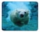 Qien BaiSei Polar Bears in The Water Mouse padNonSlip Rubber MousepadApplies to GamesHome SchoolOffice Mouse pad