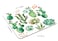 TSSOHU Watercolor Succulent Plants Cactus Mouse Pad NonSlip Rubber Base Gaming MousePads for Computers Laptop Office 95x79x012 Inch240mm x 200mm x 3mm