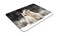 Qien BaiSei West Highland White Terrier Mouse padNonSlip Rubber MousepadApplies to GamesHome SchoolOffice Mouse pad