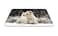 Qien BaiSei West Highland White Terrier Mouse padNonSlip Rubber MousepadApplies to GamesHome SchoolOffice Mouse pad