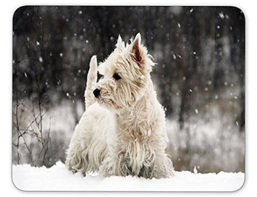 Qien BaiSei West Highland White Terrier Mouse padNonSlip Rubber MousepadApplies to GamesHome SchoolOffice Mouse pad