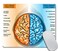 Amcove Educational Mouse Pad Human Brain Left and Right Functions Rectangle NonSlip Rubber Mousepad