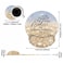 BWOOLL Ergonomic Mouse Pad Wrist Support and Coasters Set Cute Wrist Rest Pad with NonSlip PU Base for Home Office Working Studying Easy Typing Pain Relief Rainbow Glitter Bible Verse Phil 413