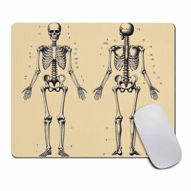 pingpi Human Skeleton Mouse Pad Rectangle Human Anatomy Computer or Office Work Station Decor