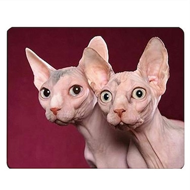 Nicokee Cat Gaming Mousepad Canada Hairless Cat Sphynx Mouse Pad Mouse Mat for Computer Desk Laptop Office 95 X 79 Inch NonSlip Rubber