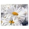 Nicokee Daisy Gaming Mousepad White Pure Daisy Flower Mouse Pad Mouse Mat for Computer Desk Laptop Office 95 X 79 Inch NonSlip Rubber