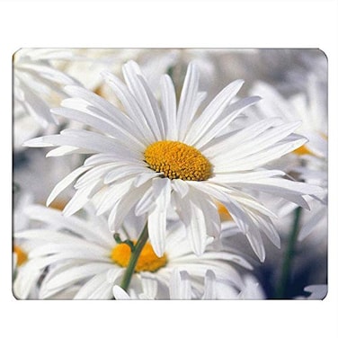 Nicokee Daisy Gaming Mousepad White Pure Daisy Flower Mouse Pad Mouse Mat for Computer Desk Laptop Office 95 X 79 Inch NonSlip Rubber