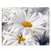 Nicokee Daisy Gaming Mousepad White Pure Daisy Flower Mouse Pad Mouse Mat for Computer Desk Laptop Office 95 X 79 Inch NonSlip Rubber