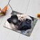 Nicokee NICOKEE Dog Rectangle Gaming Mousepad Pug Dog Shapi Puppy Mouse Pad Mouse Mat for Computer Desk Laptop Office 95 X 79 Inch NonSlip Rubber