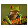Nicokee Frog Gaming Mousepad Cute Tree Frog Green Wild Animal Mouse Pad Mouse Mat for Computer Desk Laptop Office 95 X 79 Inch NonSlip Rubber