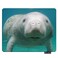Nicokee NICOKEE Manatee Rectangle Gaming Mousepad Cute Manatee in The Water Mouse Pad Mouse Mat for Computer Desk Laptop Office 95 X 79 Inch NonSlip Rubber
