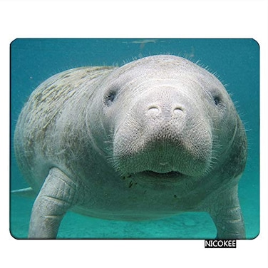 Nicokee NICOKEE Manatee Rectangle Gaming Mousepad Cute Manatee in The Water Mouse Pad Mouse Mat for Computer Desk Laptop Office 95 X 79 Inch NonSlip Rubber
