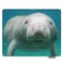 Nicokee NICOKEE Manatee Rectangle Gaming Mousepad Cute Manatee in The Water Mouse Pad Mouse Mat for Computer Desk Laptop Office 95 X 79 Inch NonSlip Rubber