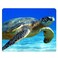 Nicokee Turtle Gaming Mousepad Sea Turtle Sea World Blue Ocean Mouse Pad Mouse Mat for Computer Desk Laptop Office 95 X 79 Inch NonSlip Rubber