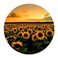 pingpi Sunflower Floral Circle Round Rubber Mousepad