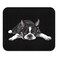 WIRESTER NonSlip Rectangle Mousepad Boston Terrier Dog Lying Down Looking Up Mouse Pad for Home Office and Gaming Desk