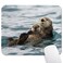 Wknoon Cute Sea Otters Mouse Pad Nature Animal Playing Water Funny Mouse Pads