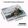 Wknoon Cute Sea Otters Mouse Pad Nature Animal Playing Water Funny Mouse Pads