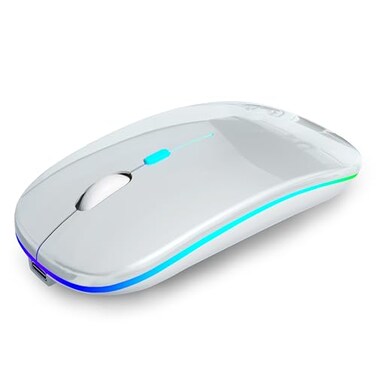 AIKOKOK Wireless Bluetooth Mouse Rechargeable Dual Mode Bluetooth 52 24G USB LED Lights Slim Silent Portable Computer Mouse for Laptop PC MacBook iPad Tablet Silver